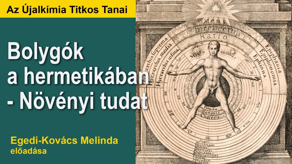 Újalkímia