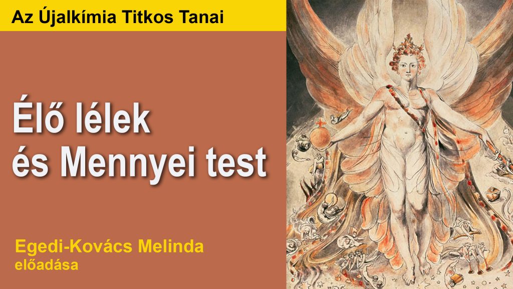 Újalkímia - Egedi-Kovács Melinda
