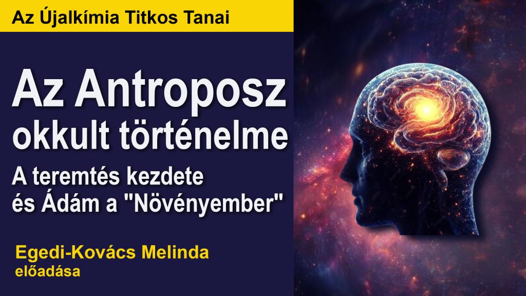 Újalkímia - Egedi Kovács Melinda