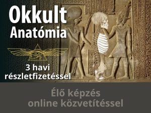 Újalkímia